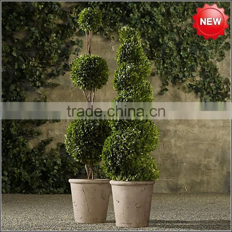 Fresh keep boxwood ball topiary
