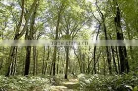Real estate , Kuromatsunai , Hokkaido , Beautiful Land