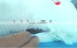 New Fashion EL Cushion