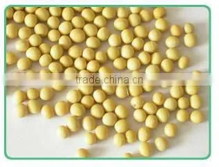 1.5D functional fiber hot selling soybean fiber