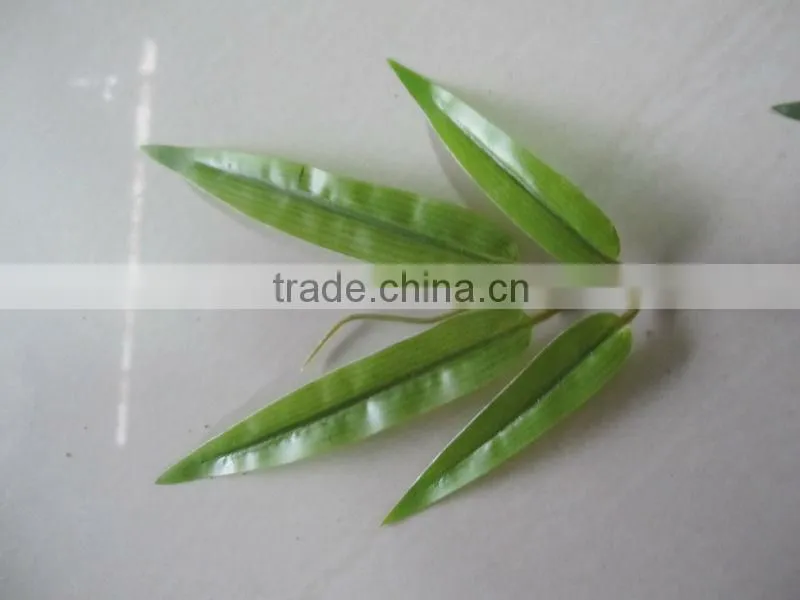 Lucky bamboos