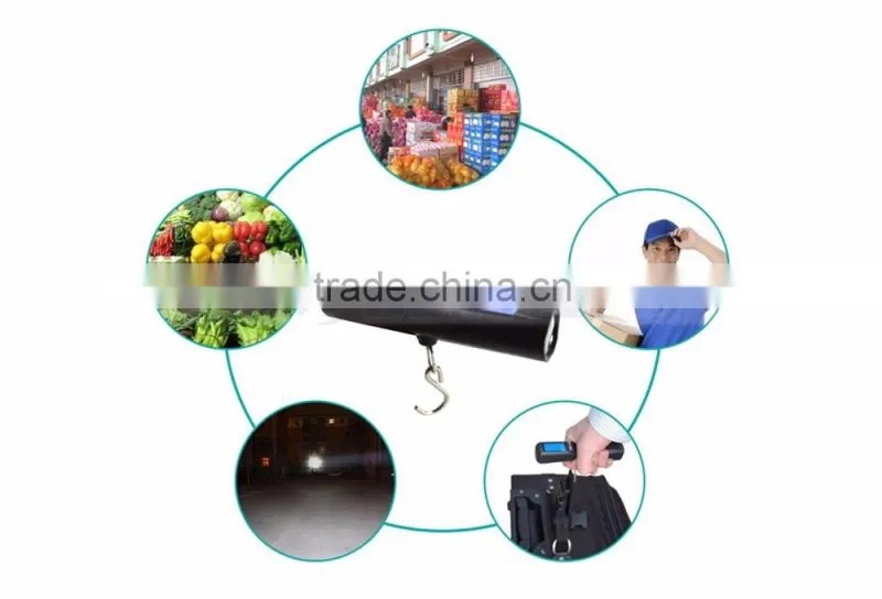 30 x 17mm Big Size LCD Screen 2 in One Fishing Or Travel LED Torch Luggage Scale