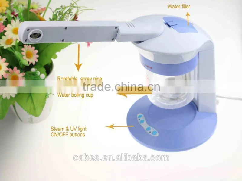 Desktop beauty facial steamer hot water steamer