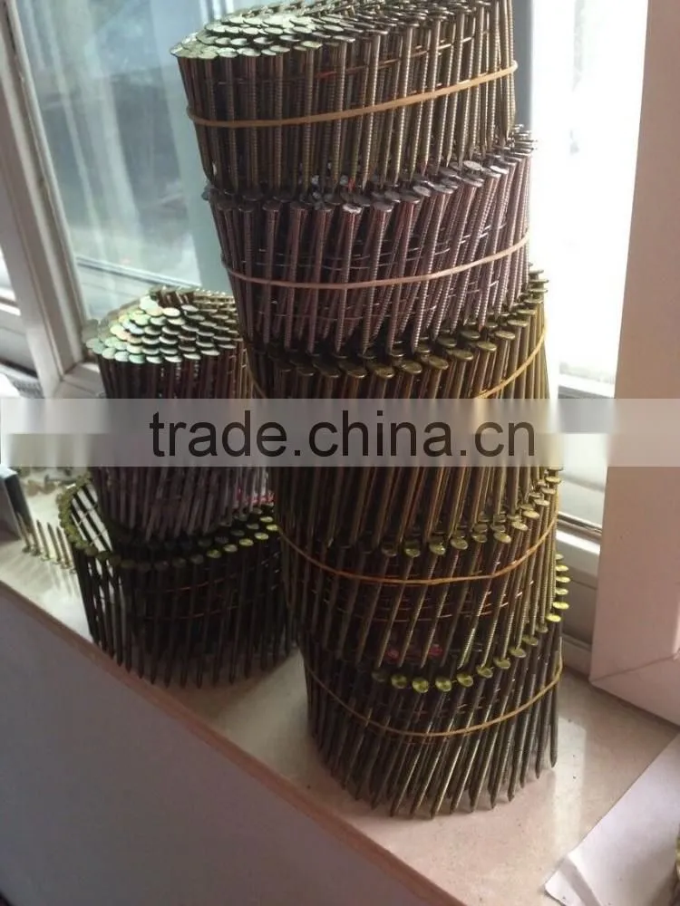 high quality galvanized roofing coil nail for pallet, 15 degree, commen coil nails