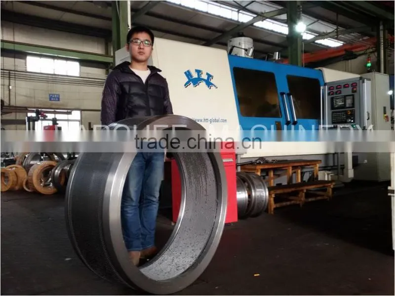 Dies and Rollers for Andritz Pellet Mill