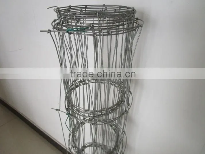 Shijiazhuang S D Company Ltd. company overview - view 4