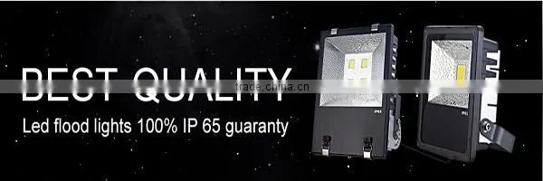Outdoor Lighting COB Bridgelux LED Flood Light 200W