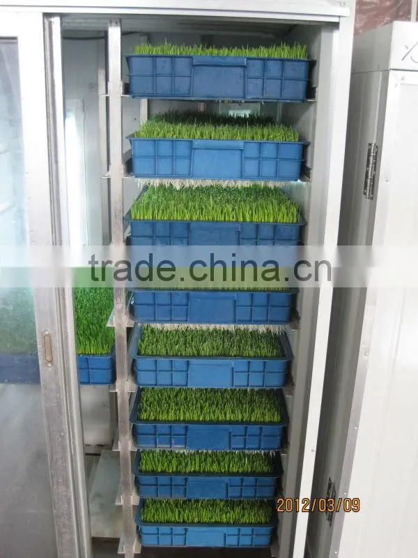 Hydroponics Animal Fodder Machinprofessional automatic oat rooting machine /bean budding machine/animal fodder sprouting machine