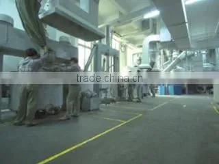 Guangdong Girafe Fine Chemical Co., Ltd. company overview - view 3