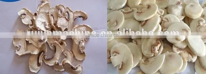 best quality mushroom slicing /shitake mushroom slicer 0086-15981835029