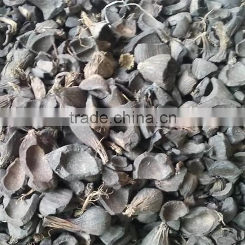 palm shell activated carbon