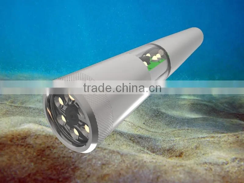 Waterproof Camera in Underwater Instrument in Fishing Industry