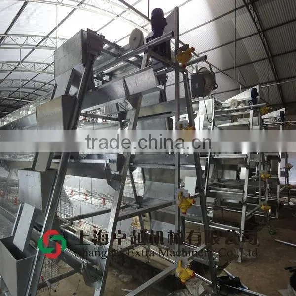 A-type cage for broiler and layer
