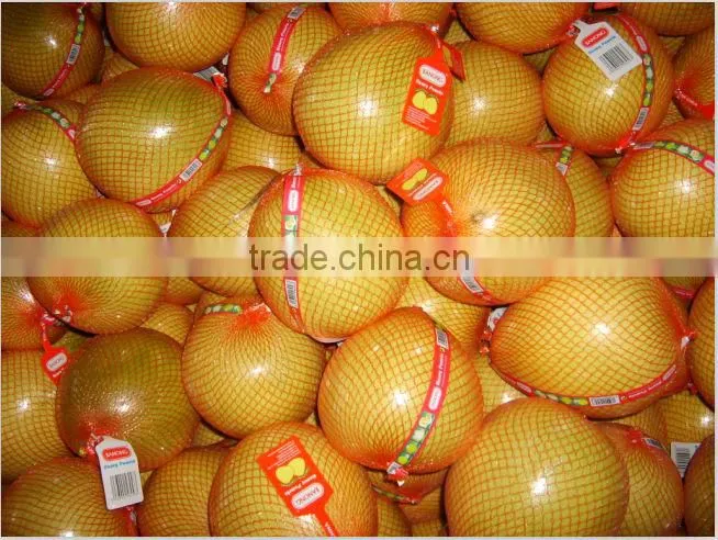 Chinese Fresh honey pomelo low price
