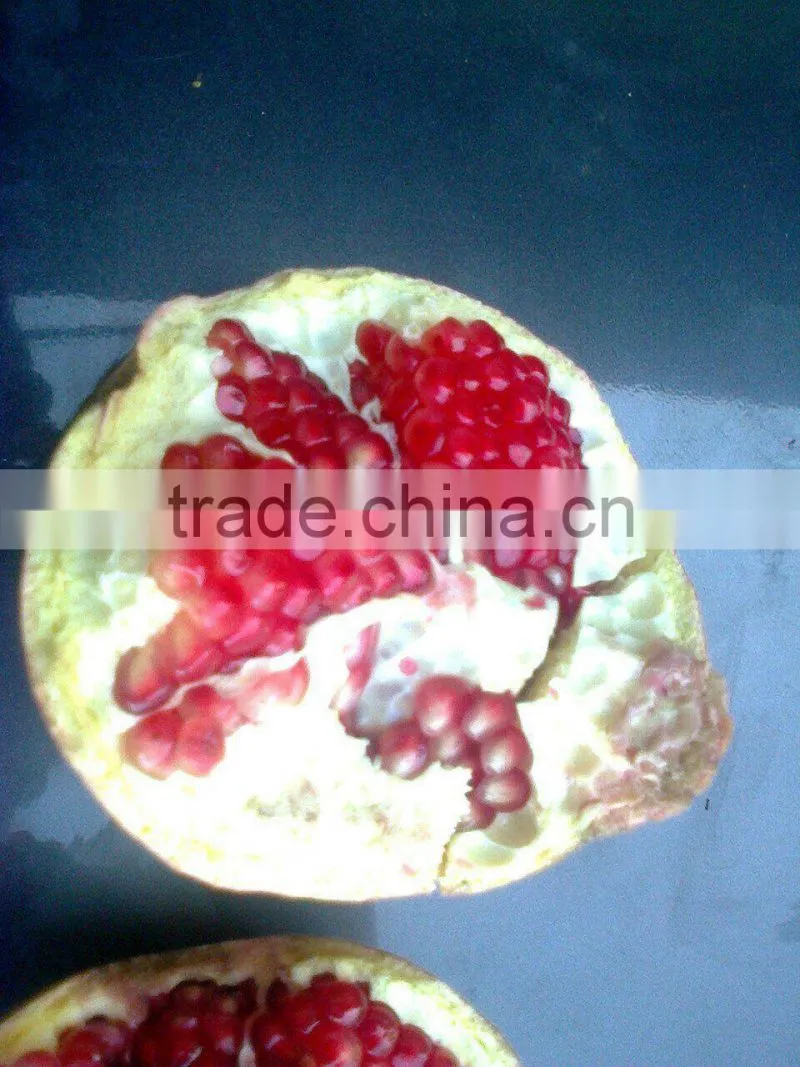 Fresh Pomegranate 2015