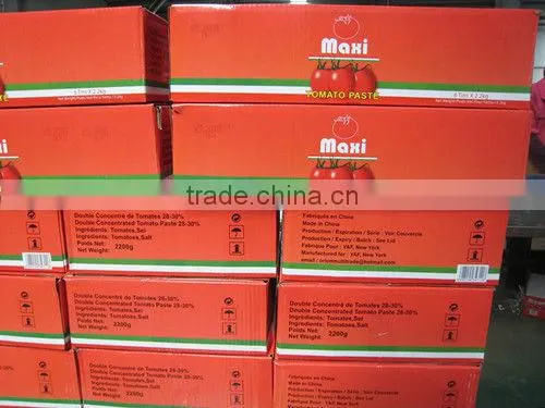 hot selling africa halal food red color natural tomato paste