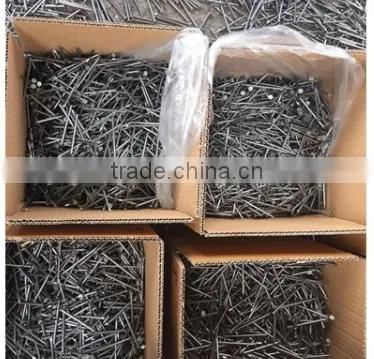 Best selling Polished Common Nails with Loose Package from china supplier