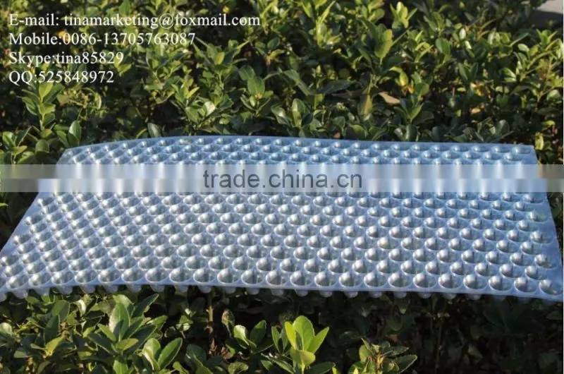 434 Holes Transparent Plastic Paddy Seed Starting Tray for Rice Propagation/Parachute Seedling trays