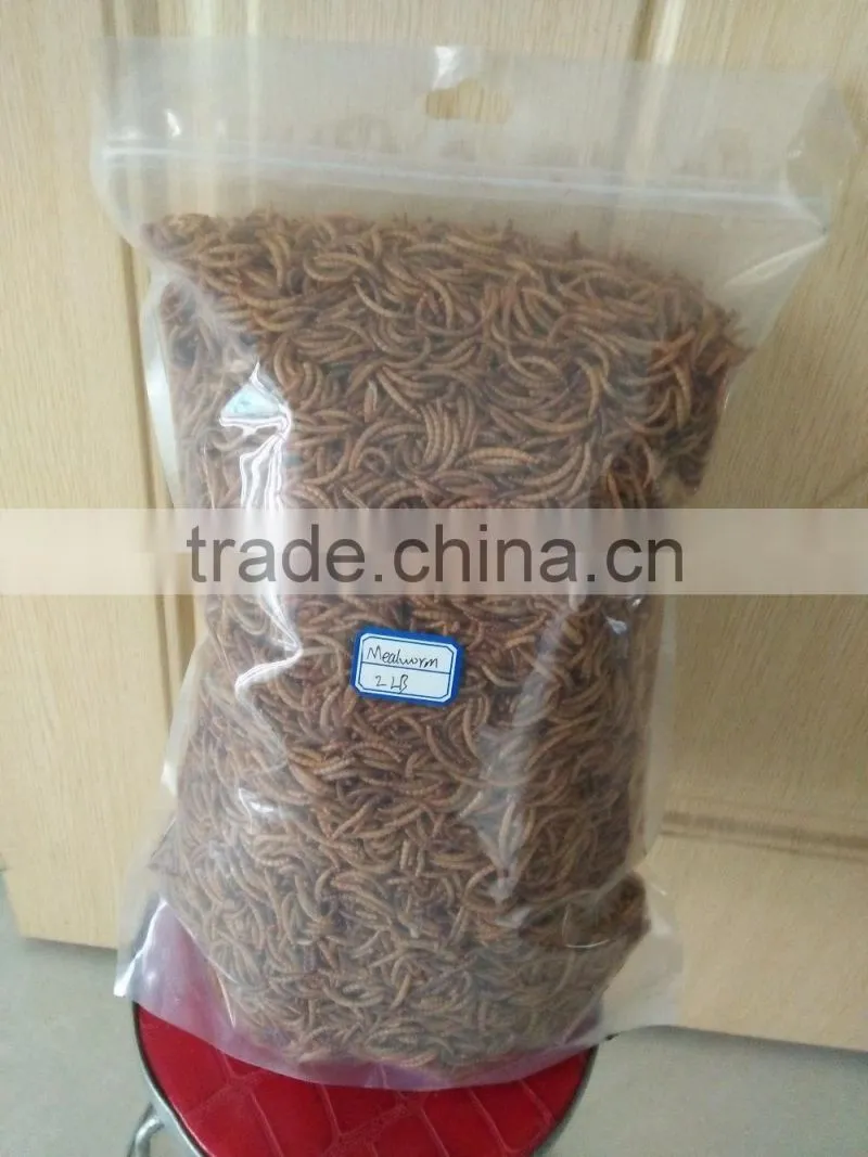 High Protein (53%) Dried Mealworm For Wild Tortoise Treat