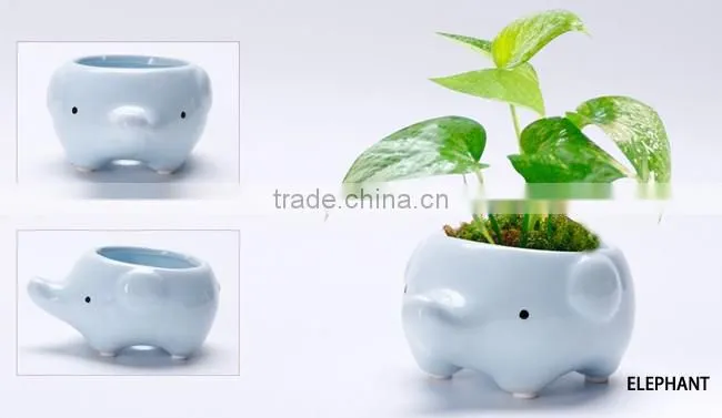Cartoon succulent flowerpot ornaments small ceramic animal planters