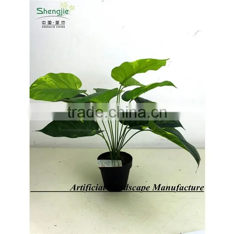 SAS201603 China Supplier Artificial Greenery Plant,Indoor Fake Ornamental Foliage Plant