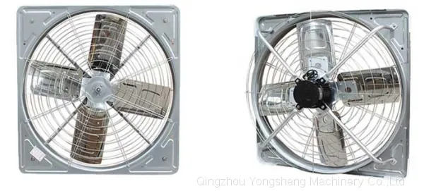 new dirct fan