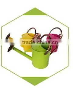 Hand painted plant wall hanging flower pots wholesale