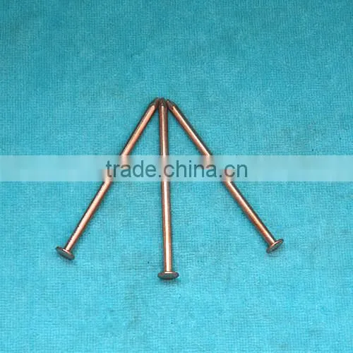concrete brass nail