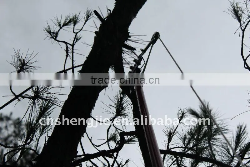pole tree pruner