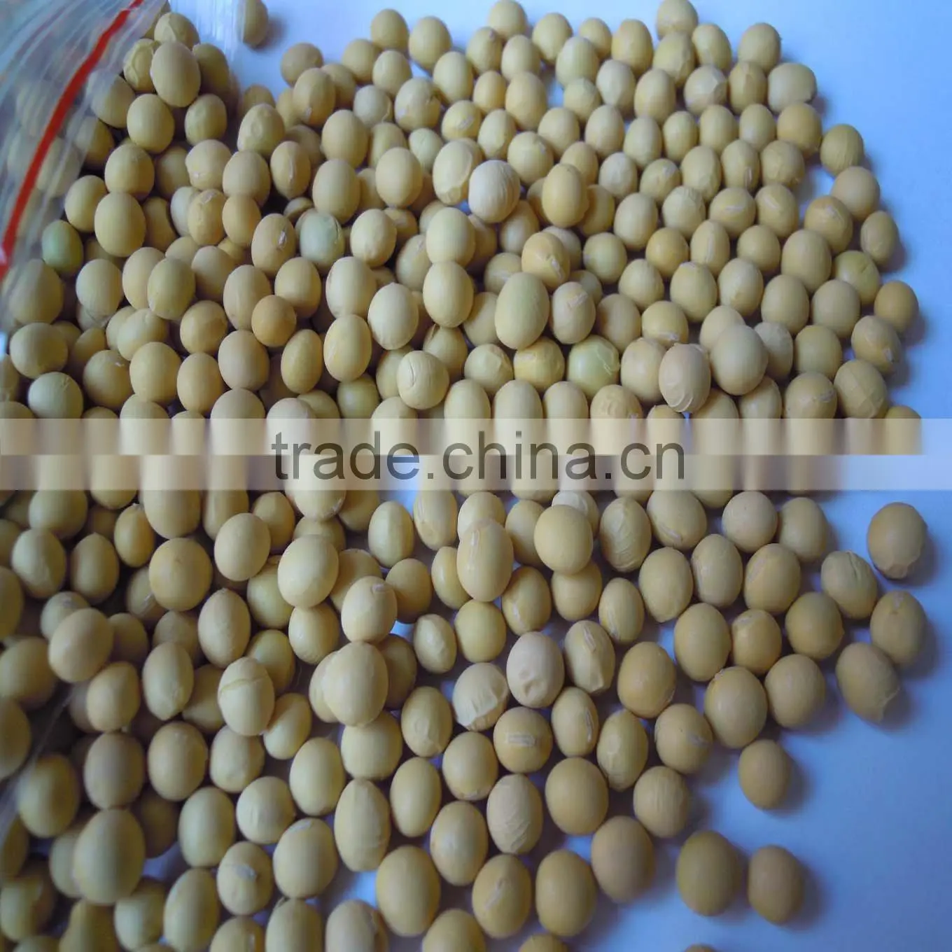 organic soybean