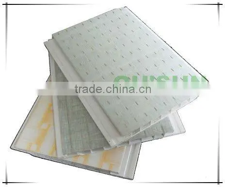2012 Haining The Newest Flat PVC Panel