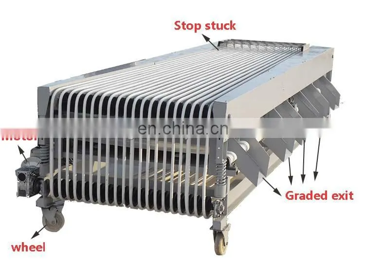 multi-use fruit and vegetable grading machine