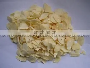 contiunous drying mango chips processing plant