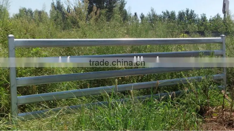 6 rails oval tube sheep panel (Australia standard)