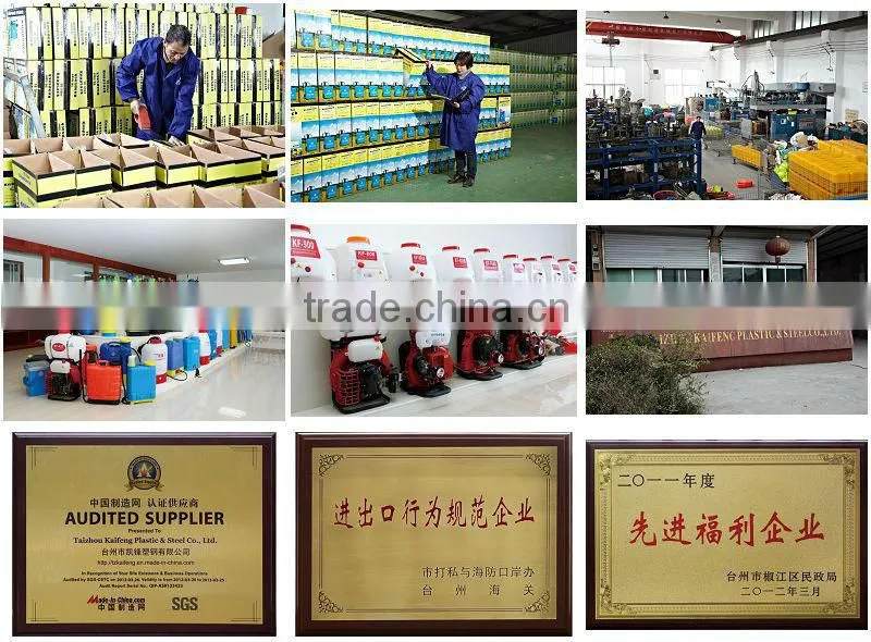 2L compressed mini garden pressure sprayer