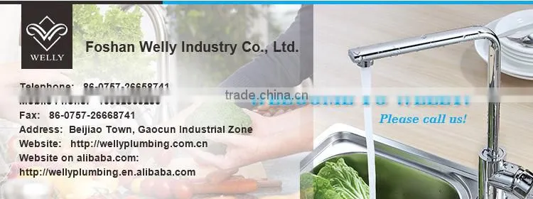 High Quality Multiple Function Saving Water Adjustable Bath Head Shower In Foshan