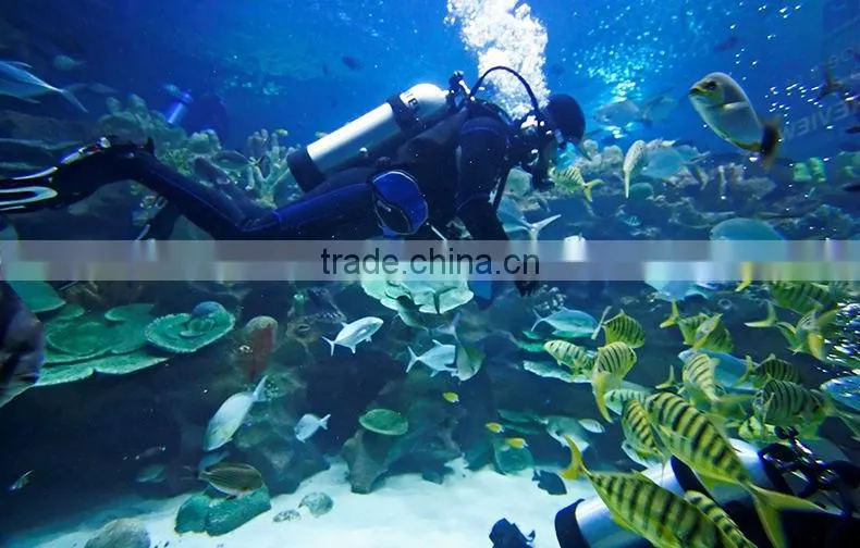 Best Price Wholesale Diving Equipment Diving Torch