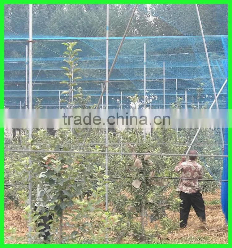 PE plastic anti bird netting/agricultural anti bird net/cheap bird netting for fruit cover