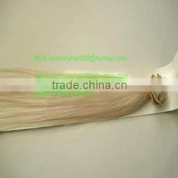 PROFESSIONAL remy hair extension clips