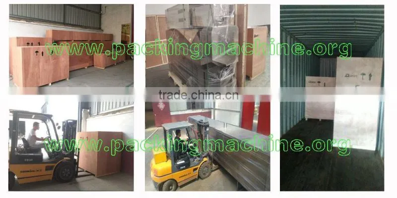 5-25kg Fish Food Pellets Packaging Machine