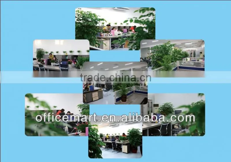 document file portfolio a4 paper folder/paper folder printing with glossy lamination
