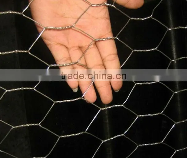 Electro Galvanized Hexagonal Wire Mesh