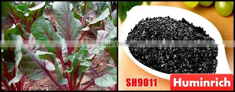 Huminrich 70%HA 25%FA 12%K2O Super Potassium Humate With Fulvic Acid