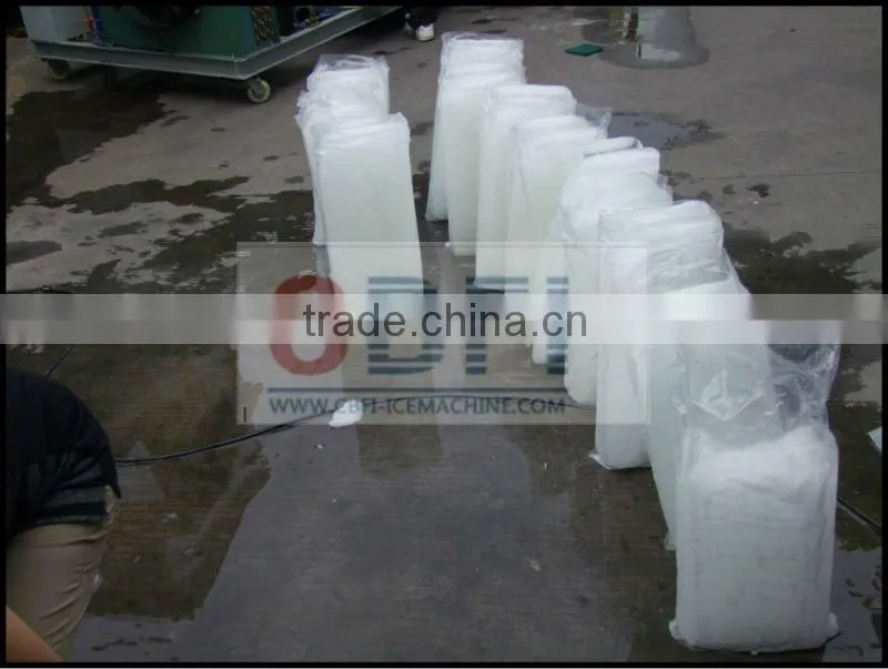Bag Ice Maker