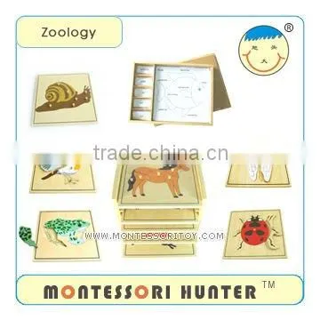 Montessori Toys