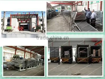 Complete processing line of dry pasta machine