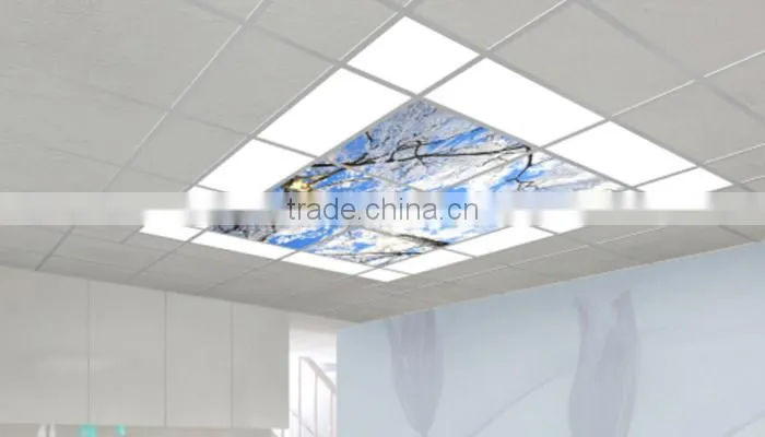 Cityghost 48w 600x300 600x600 2x2 frameless led light panel distributor