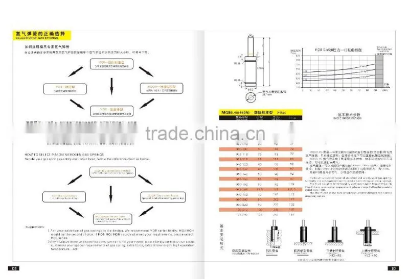 BORDIGNON standard nitrogen gas spring