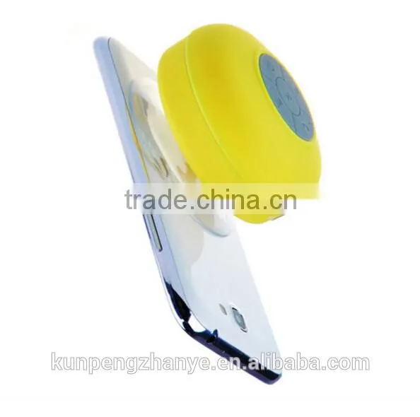 BTS-06 Speaker