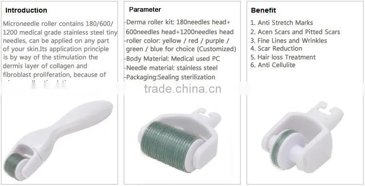 2016 Flagship ! wholesale home use 3 in 1 micro derma roller kit